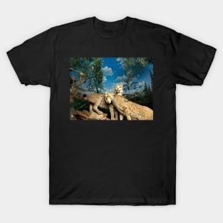 Natural environment diorama - two leopards T-Shirt